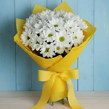 Букет цветов из:  Хризантемы в Олымский