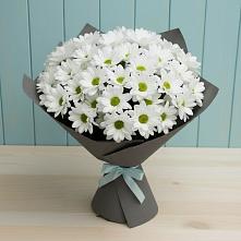 Букет цветов из:  Хризантемы #REPLACE_PRED# Олымский