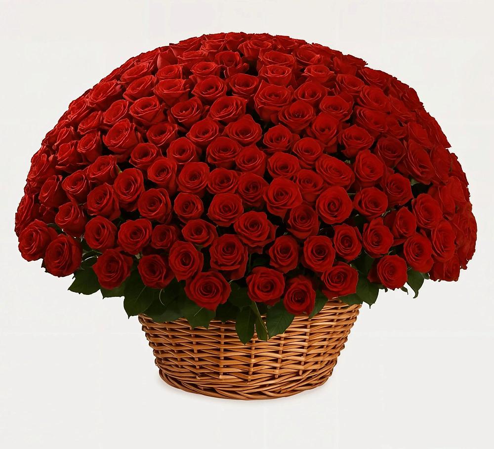 Премиум букет из: Розы в Олымский