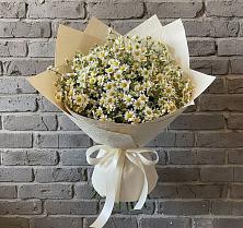 Букет цветов из:  Ромашки в Олымский