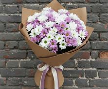 Букет цветов из:  Хризантемы #REPLACE_PRED# Олымский