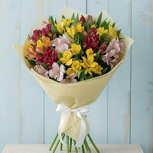 Букет цветов из:  Альстромерии в Олымский