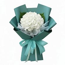 Букет цветов из:  Гортензия в Олымский